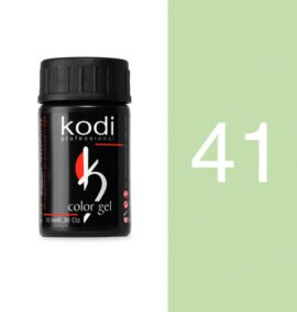 Gel colorato 10 ml. n.41