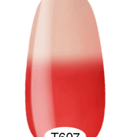 Termo Gel Polish n. T607 (8 ml)