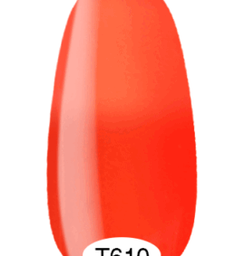 Termo Gel Polish n. T610 (8 ml)