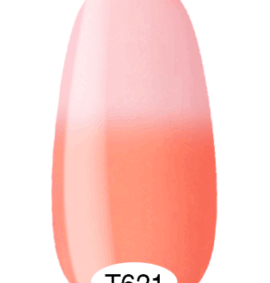 Termo Gel Polish n. T621 (8 ml)